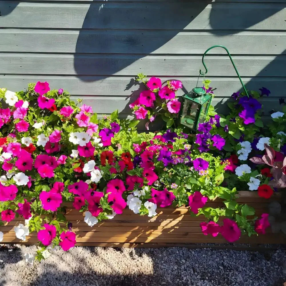 Pine Raised Wooden Trough Planter with Feet