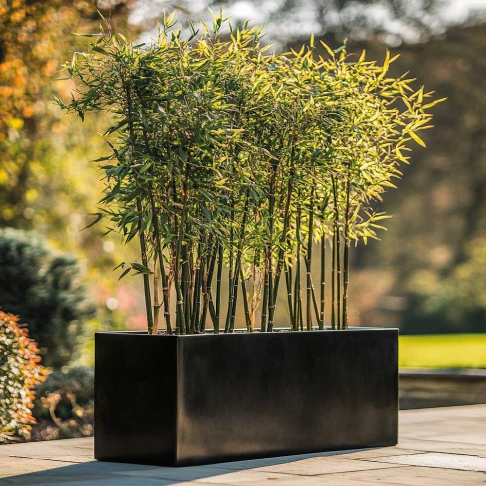 100cm Zinc Galvanised Polished Black Trough Planter